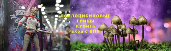прущая мука Новокубанск