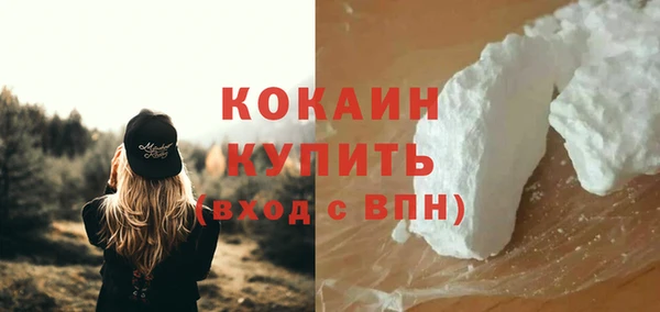 ешки Новозыбков