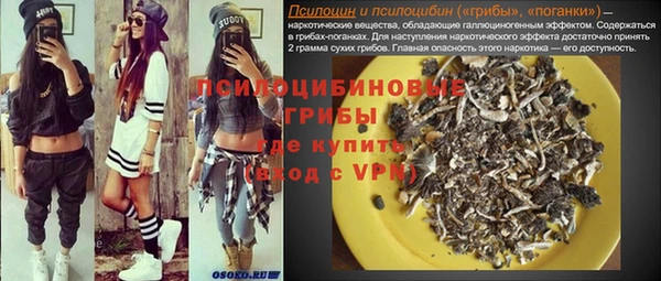 ешки Новозыбков