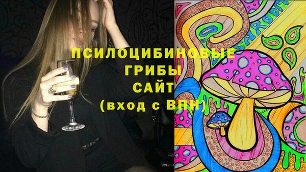 индика Вязьма