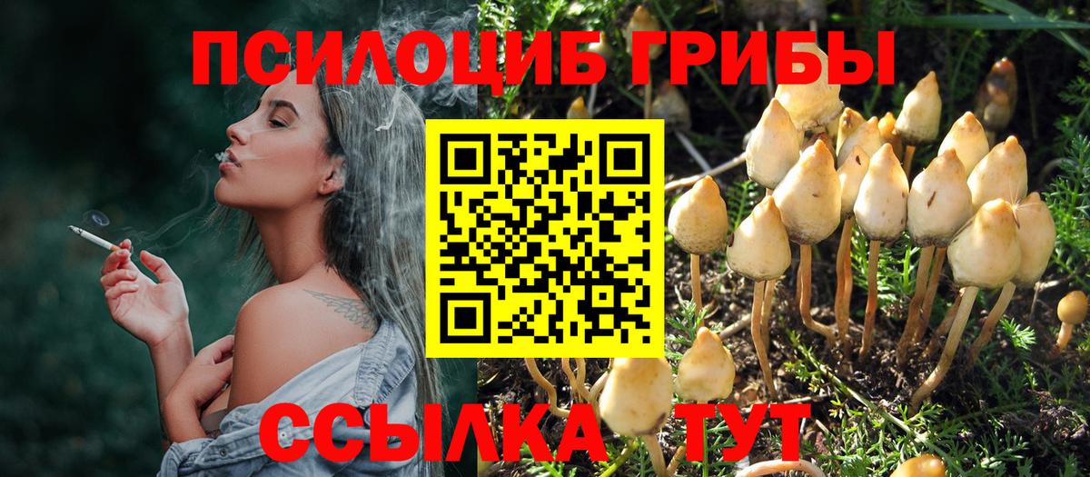 Галлюциногенные грибы Magic Shrooms  Псилоцибиновые грибы Psilocybine cubensis  Алексеевка 