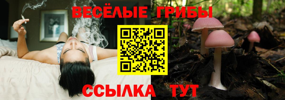 Галлюциногенные грибы прущие грибы Алексеевка