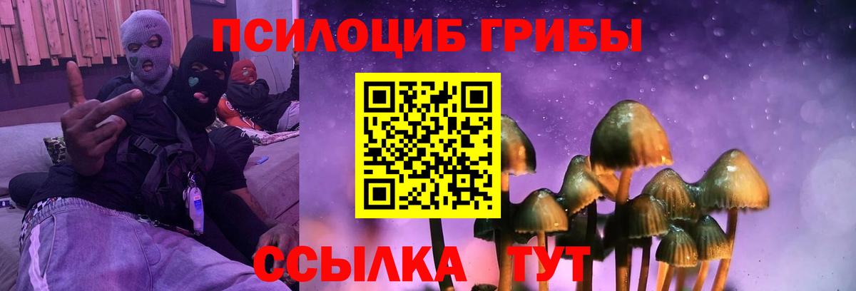 Псилоцибиновые грибы мухоморы  купить наркоту  Алексеевка  Вход с VPN  Галлюциногенные грибы Cubensis 